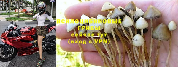 apvp Абинск
