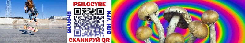 darknet телеграм Саранск Псилоцибиновые грибы ЛСД